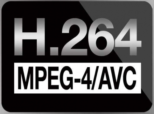 H.264还有很多“外号”：MPEG-4 AVC（Advanced VideoCodec，高级视频编码）、MPEG-4 Part 10、ISO/IEC 14496-10等等，记住它们都是同一标准。